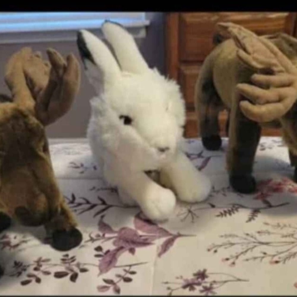 Webkinz Signature ARCTIC HARE